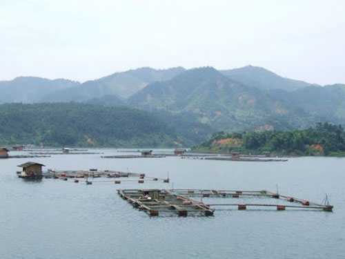 东江湖水产养殖基地